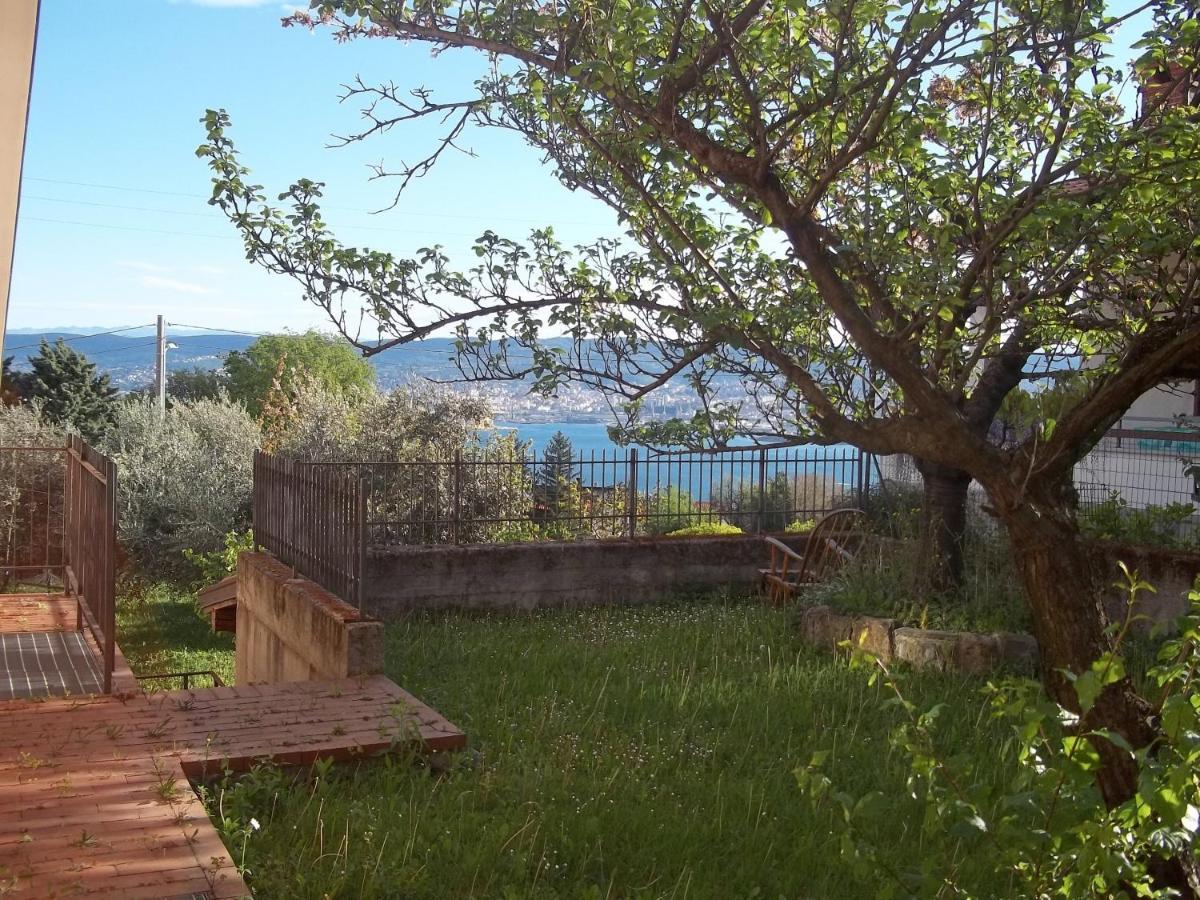 Villa Ambrosia Муджа Экстерьер фото
