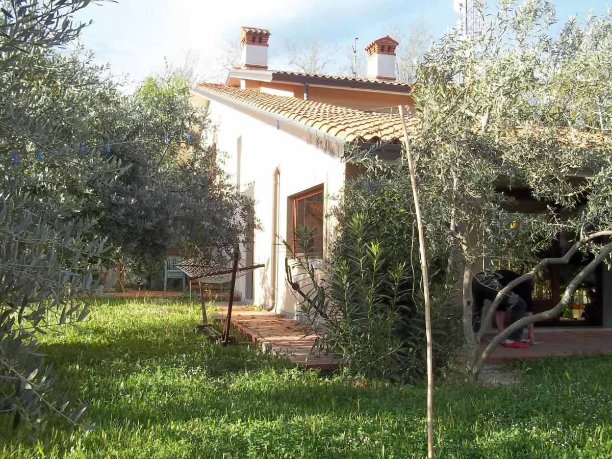 Villa Ambrosia Муджа Экстерьер фото