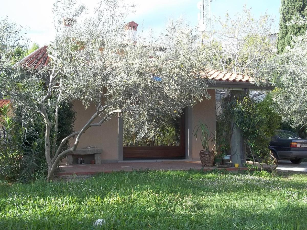Villa Ambrosia Муджа Экстерьер фото