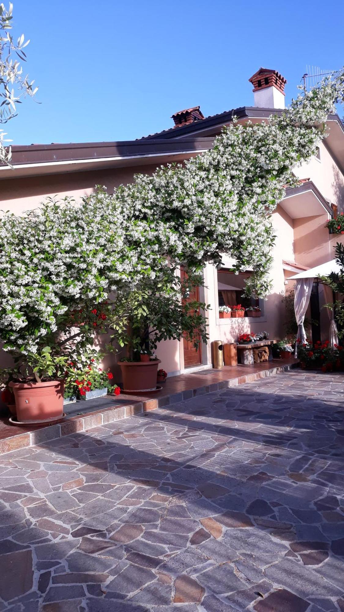 Villa Ambrosia Муджа Экстерьер фото